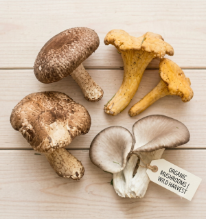 Wild Artisan Mushroom Mix