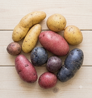 Medley Fingerling Potatoes